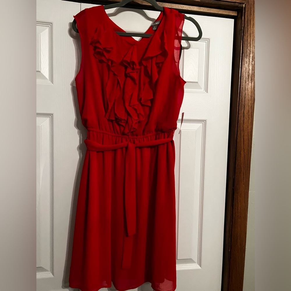 New With tags Red Dress Size 12